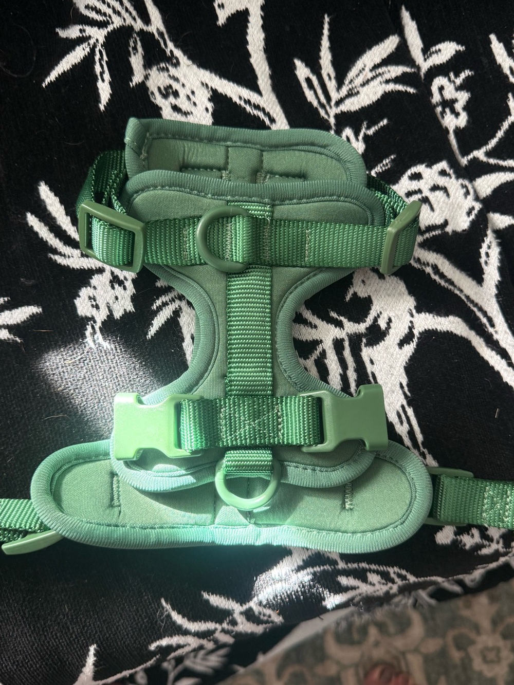 Dog Harness. Green. Xs